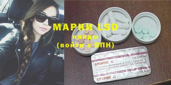 крисы Новодвинск